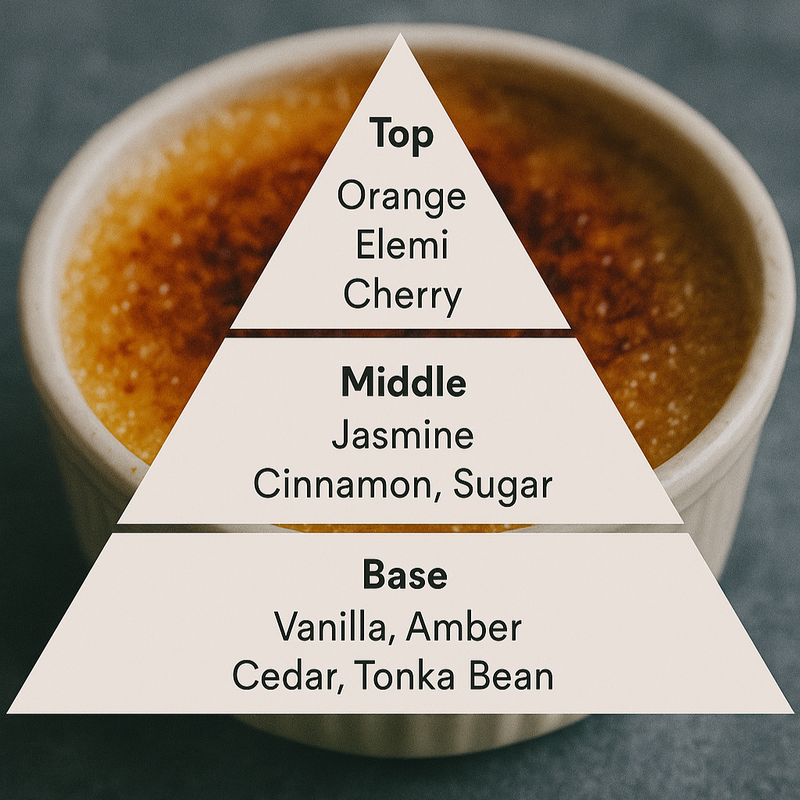 Creme Brulee Perfume Notes